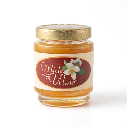 Miele di Ulmo 350g