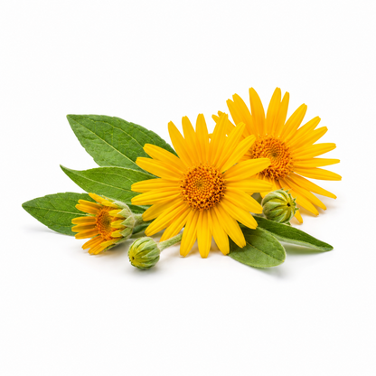 Gel Arnica 90% - Active Repair