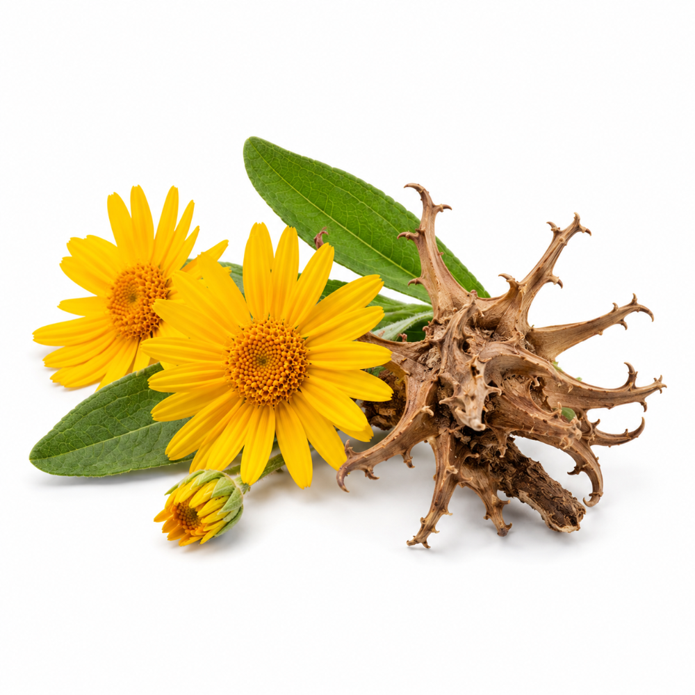 ARNICA 90 BIO - 100ml
