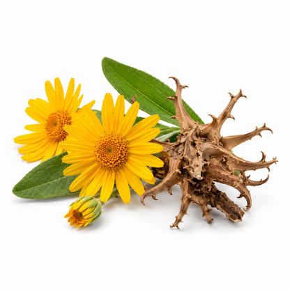 ARNICA 90 BIO - 100ml